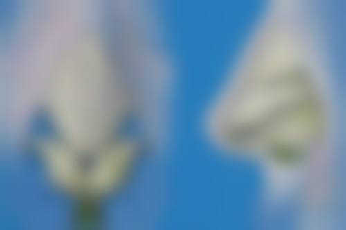 芜湖交通医院整形美容专科怎么样价格收费