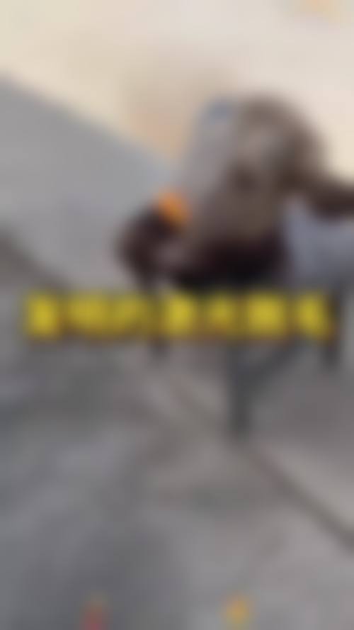 武汉贝缇医疗美容门诊部怎么样医生团队实力