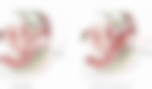 陈咸伸医生的服务项目特色