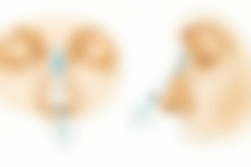 海口碧莲盛植发医院怎么样来院路线