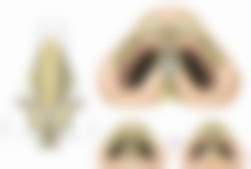 徐海荣医生的技术优势