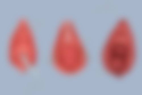 陈波医生的专长领域