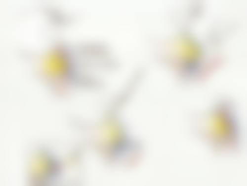 赵绛波医生擅长的医美项目