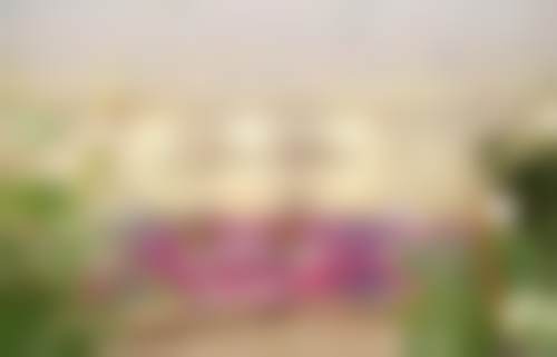 韩飞丰富的行业经验