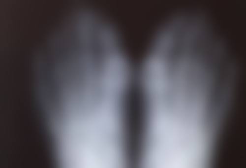 朴聖淏院长:精通的擅长领域