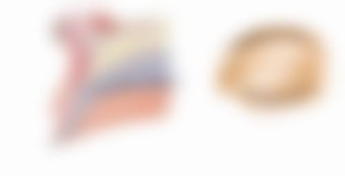 福建漳州美博士医疗美容门诊部怎么样价格收费