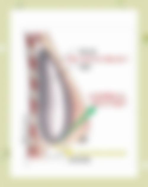 河源华美医疗整形美容门诊部来院路线