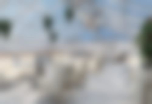 特色项目与技术优势