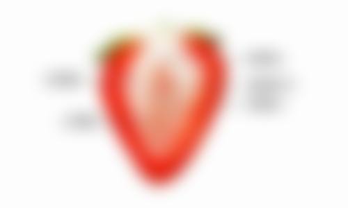 特色服务与合规项目