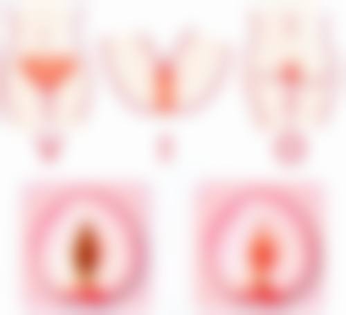 特色项目及技术优势