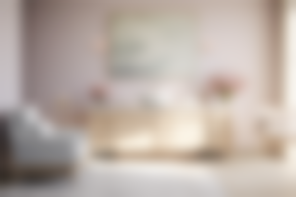 日本酒井形成外科医院