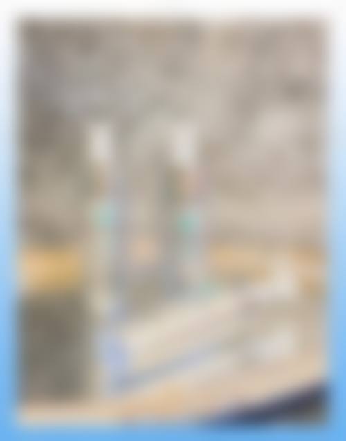 特色项目及技术优势