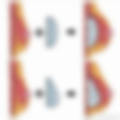 特色项目及技术优势