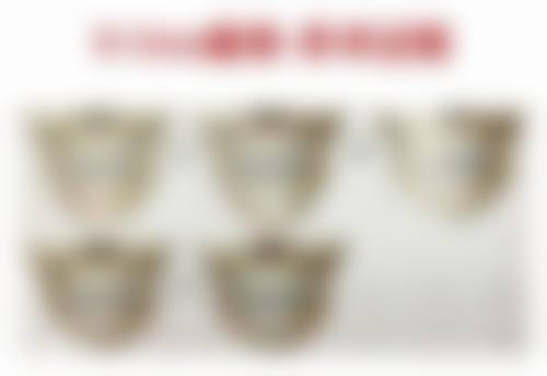 特色项目及技术优势