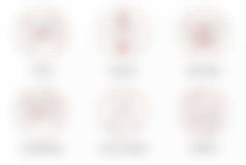 特色项目及技术优势