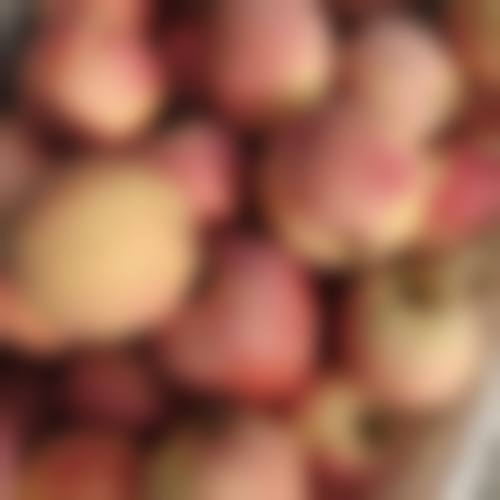 求美者真实反馈