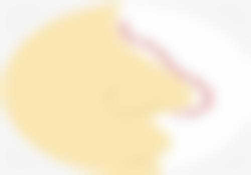 预约与服务指引