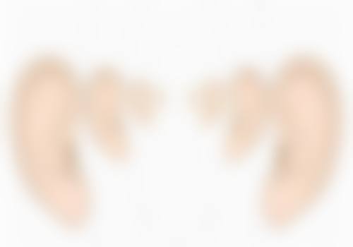 王宝林的精细化医美服务特色