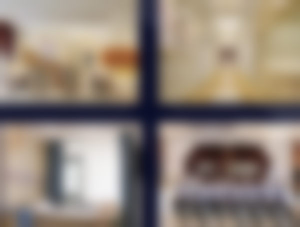 特色项目与技术优势