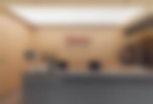 特色项目及技术优势