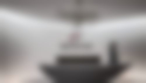 特色项目及技术优势