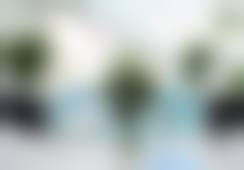 求美者真实反馈