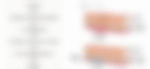 特色项目及技术优势