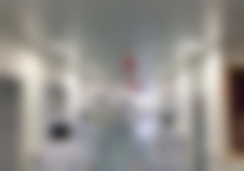 特色项目与技术优势