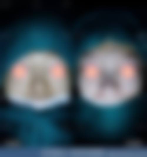 朴光珉医师所在医院的服务与收费保护