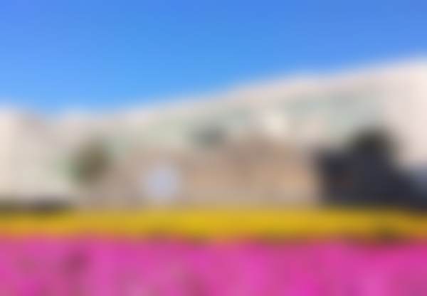 罗林医生团队的专精教研实力