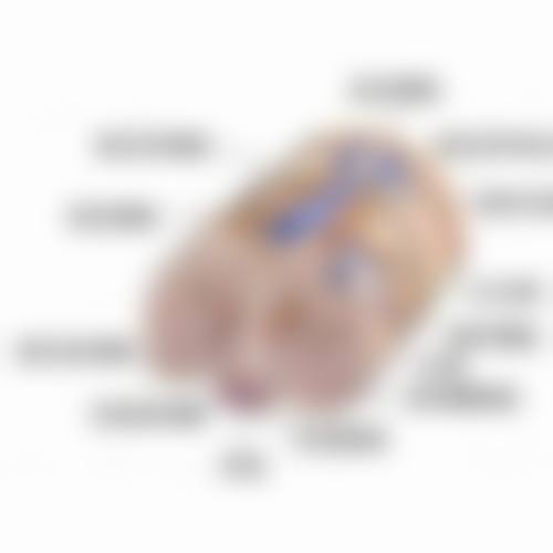 保定名望医疗美容医院特色项目及技术优势