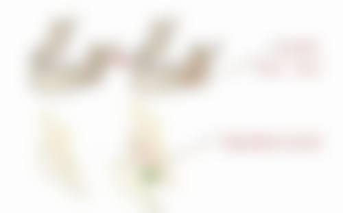 唐津美容外科诊所求美者反馈