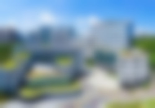 崔永言依托的三等甲医院安心保护体系