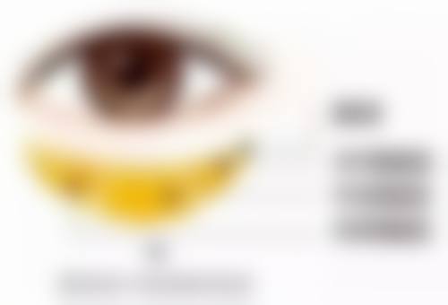 保定市北市区雷胜辉医疗美容整形外科诊所基本信息