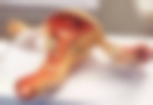 绍兴伊美尔医疗美容医院简介概述