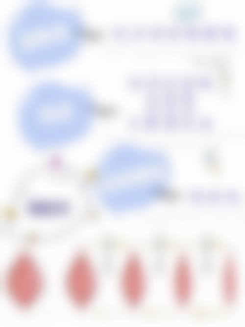 深圳市宝安区人民医院来院路线