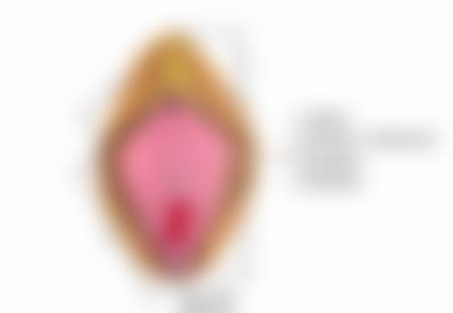 成都美成齿科（锦江门诊）求美者反馈