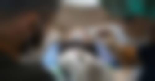 预约常立新医生诊疗的便捷方式