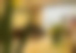 温州鹿城恒美医疗美容门诊部简介概述
