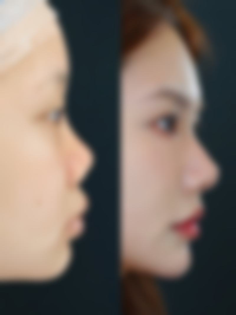 Members整形外科简介概述