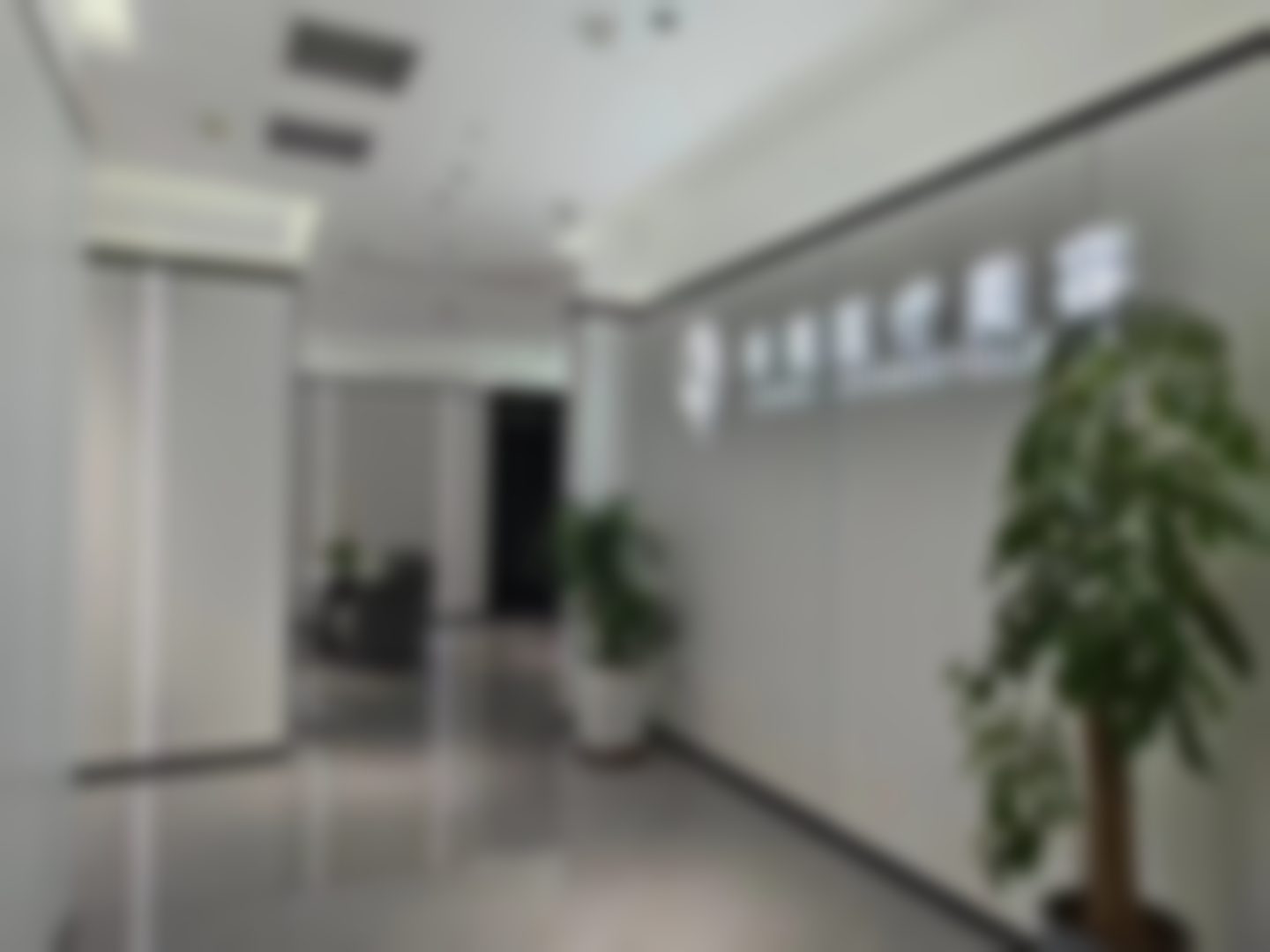 朱园静医生可开展的医美服务项目