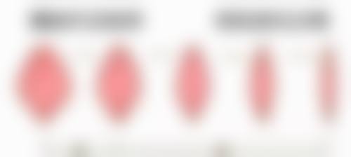 黑龙江省哈尔滨市谢丽娟医疗美容诊所基本信息